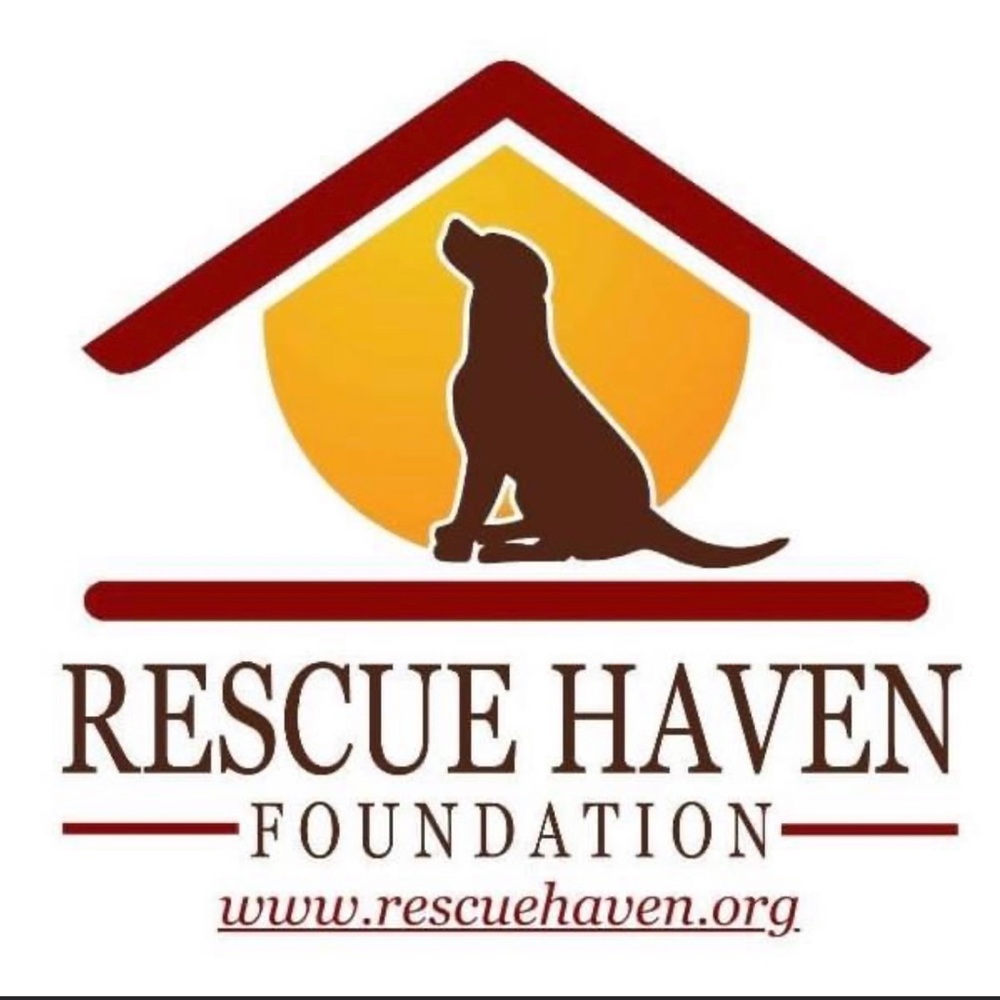 Mink coat-All sales benefit local NJ rescue  haven foundation